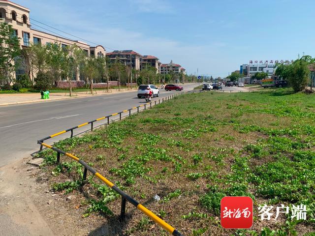 新合埠路最新動態(tài)，邁向未來的城市主干道重塑與升級