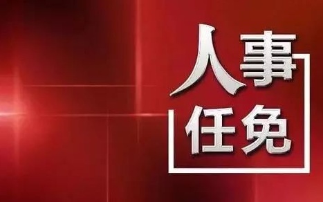 中央最新人事任免，蔡某某的新職務(wù)與未來(lái)展望